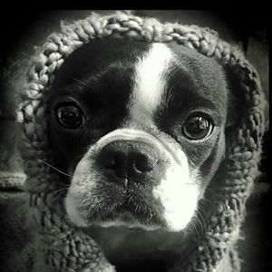 Meet your Posher, Danna